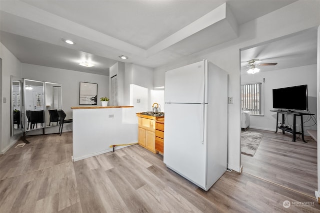 kitchen featuring light wood-type flooring, light brown cabinetry, ceiling fan, and white fridge