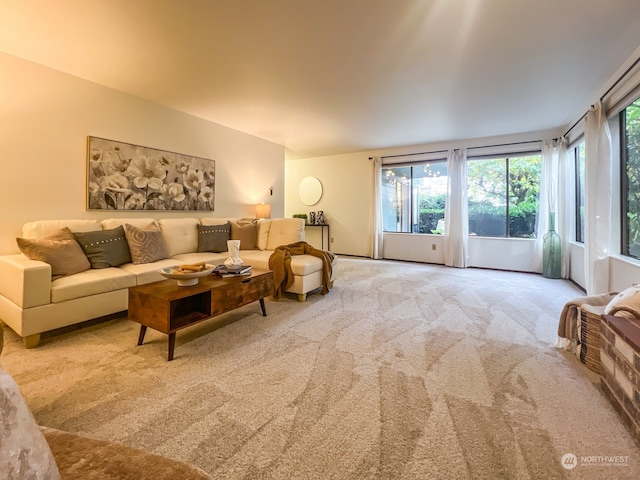 living room with carpet flooring