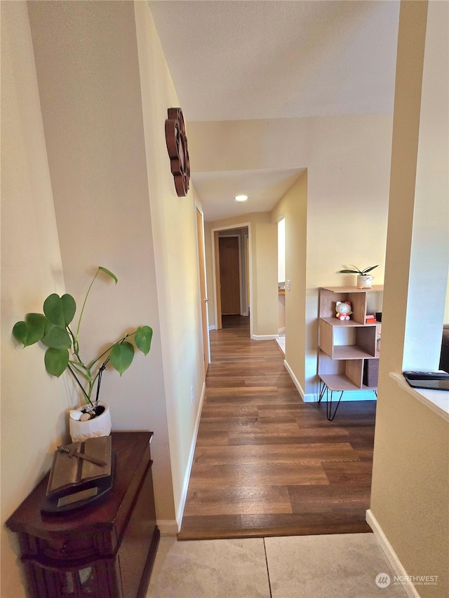 hallway with hardwood / wood-style floors