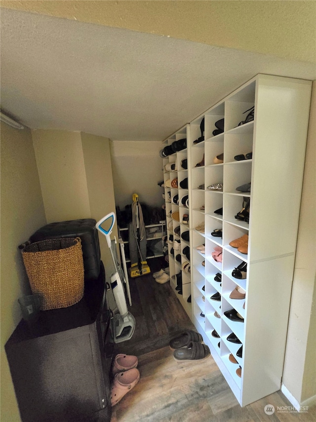 interior space with wood-type flooring