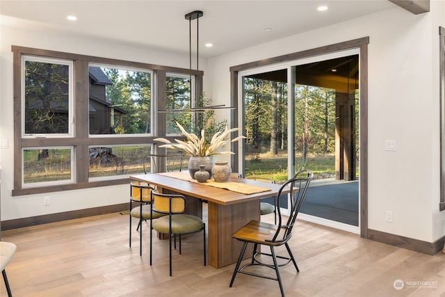 dining room with light hardwood / wood-style flooring