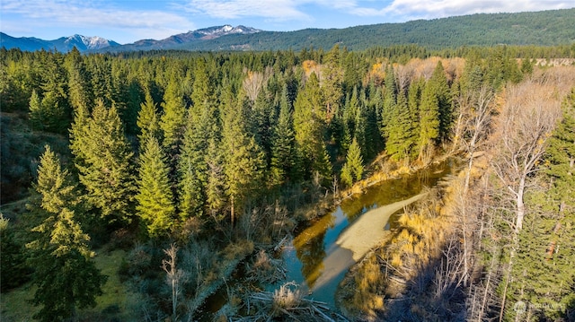 drone / aerial view featuring a mountain view