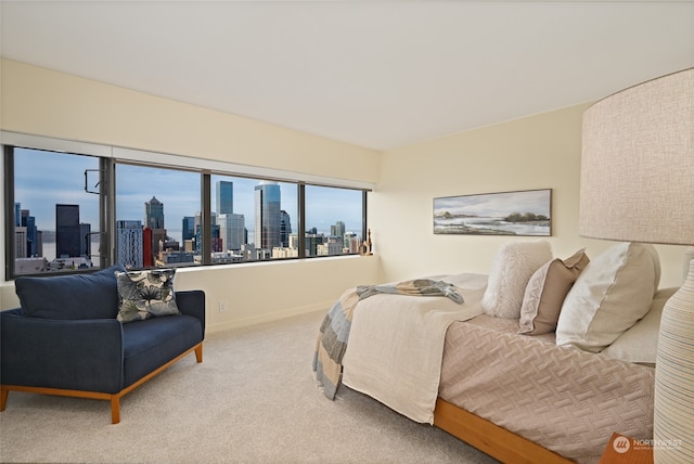 view of carpeted bedroom