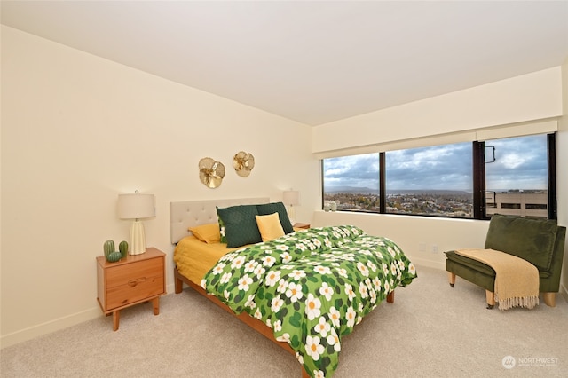 bedroom featuring carpet