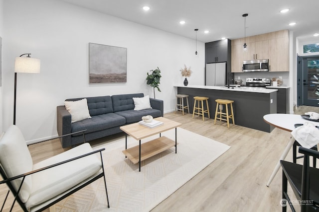 living room featuring light hardwood / wood-style flooring