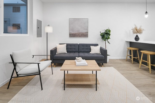 living room featuring light hardwood / wood-style floors and electric panel