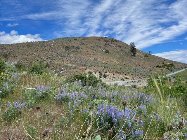 Listing photo 3 for 436 Antoine Creek Rd Lot I, Lot I, Chelan WA 98816