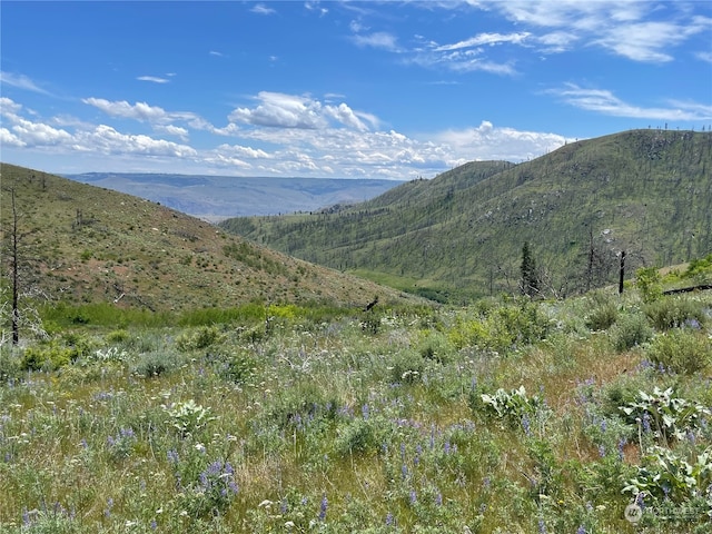 436 Antoine Creek Rd Lot E, Lot E, Chelan WA, 98816 land for sale