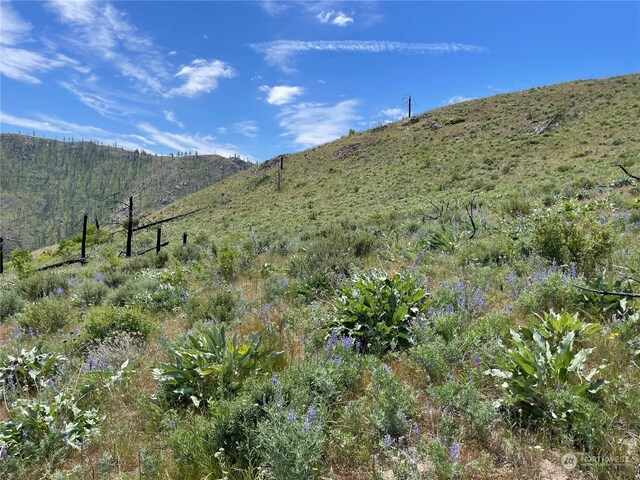 436 Antoine Creek Rd Lot E, Lot E, Chelan, WA 98816