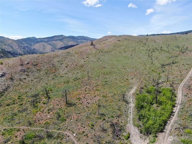436 Antoine Creek Rd Lot E, Lot E, Chelan, WA 98816