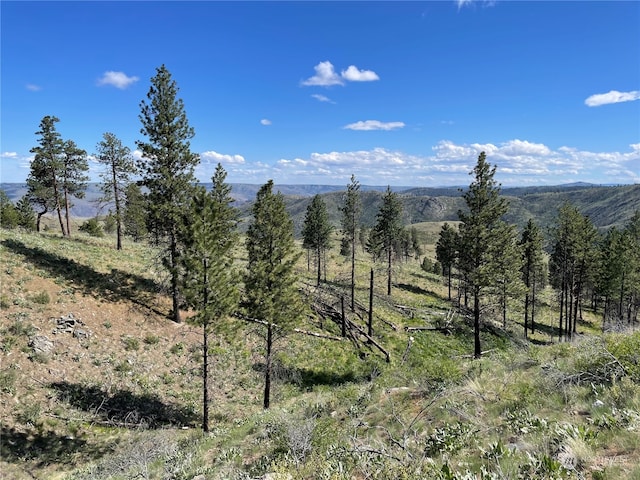 436 Antoine Creek Rd Lot E, Lot E, Chelan, WA 98816