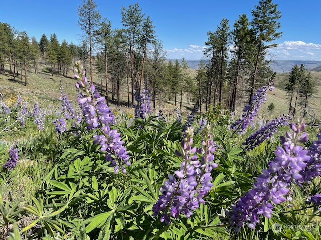 436 Antoine Creek Rd Lot E, Lot E, Chelan, WA 98816
