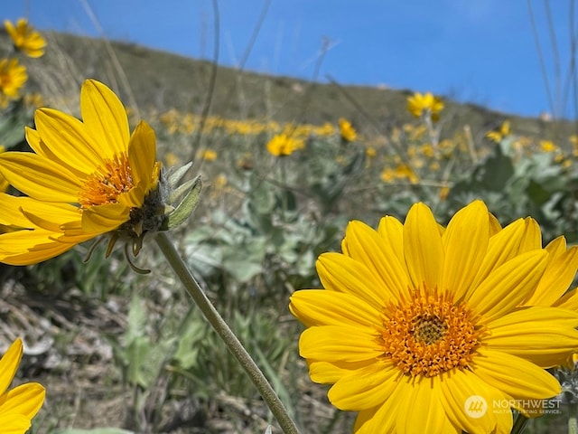 436 Antoine Creek Rd Lot E, Lot E, Chelan, WA 98816