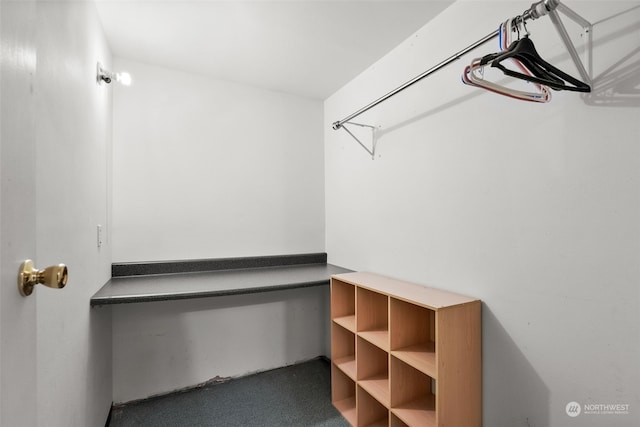 404 E 31st St, Bremerton, WA 98310 - spacious closet with carpet flooring
