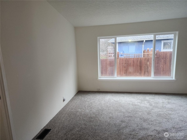 carpeted empty room with a healthy amount of sunlight