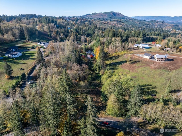 birds eye view of property featuring a mountain view