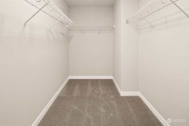 walk in closet with carpet floors