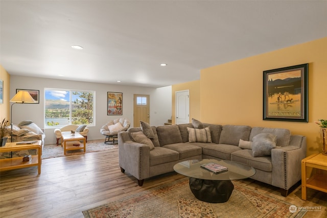 living room featuring hardwood / wood-style flooring