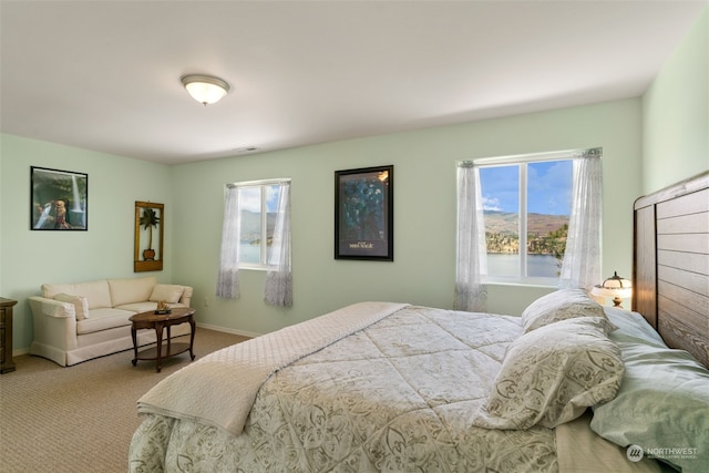 carpeted bedroom with multiple windows