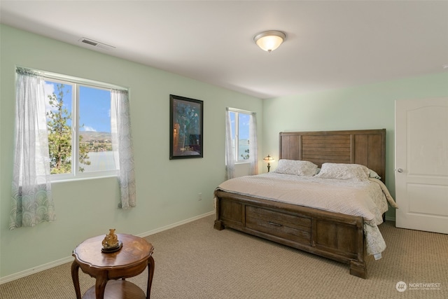 bedroom featuring multiple windows and light carpet