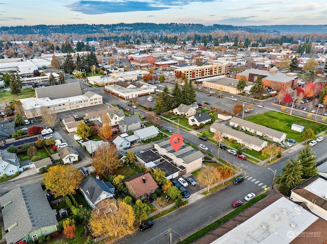 bird's eye view