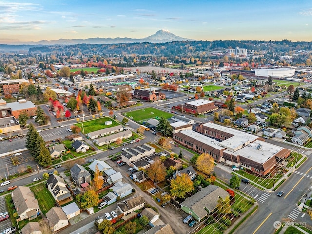 birds eye view of property featuring a mountain view