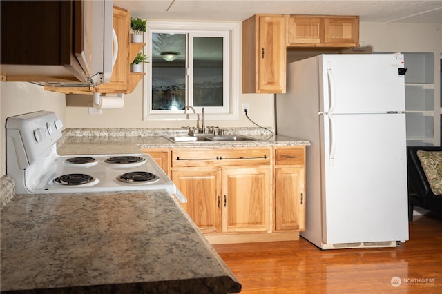 kitchen featuring light brown cabinetry, light hardwood / wood-style flooring, sink, and white appliances