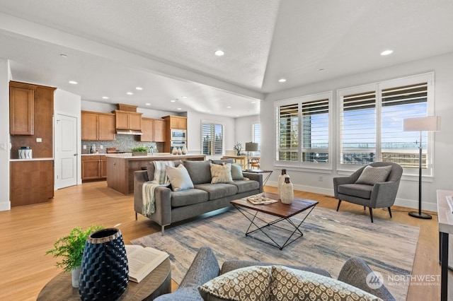 living room featuring a healthy amount of sunlight, a textured ceiling, and light wood-type flooring