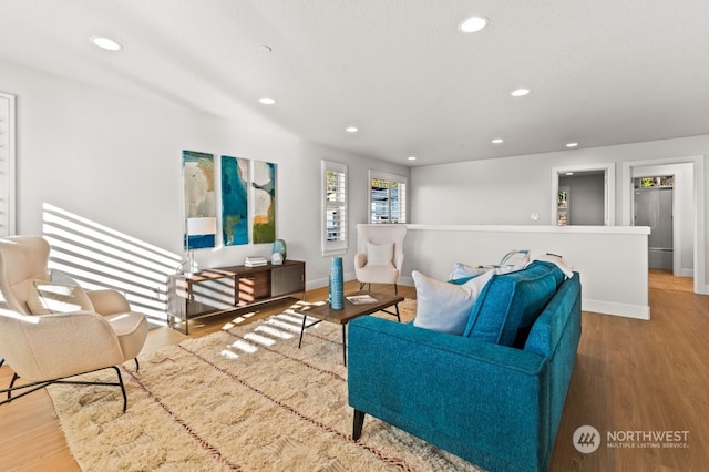 living room featuring hardwood / wood-style floors