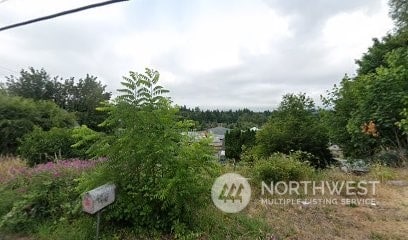 807 NE 1st, Winlock WA, 98596 land for sale