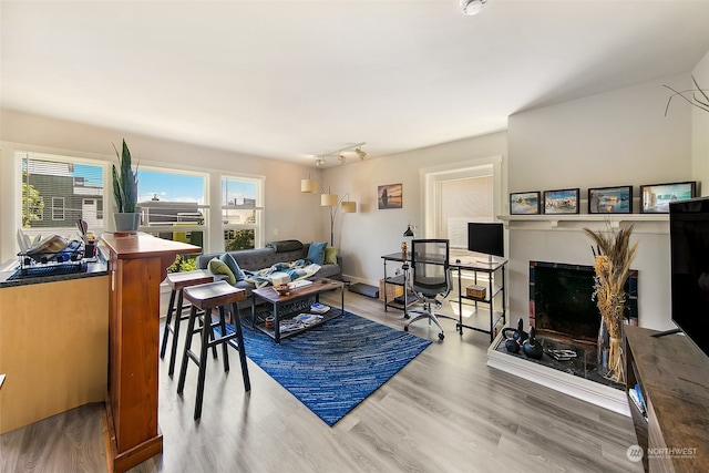 living room with wood-type flooring