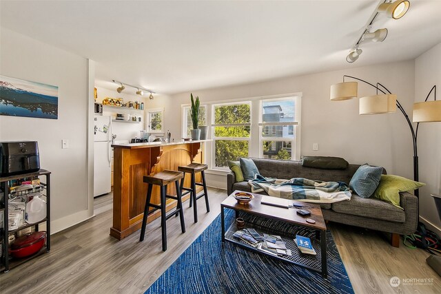 living room with light wood-type flooring, indoor wet bar, and rail lighting