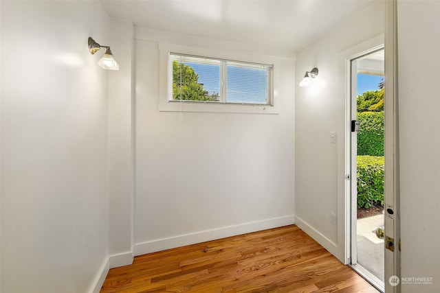 doorway to outside with light wood-type flooring and a wealth of natural light