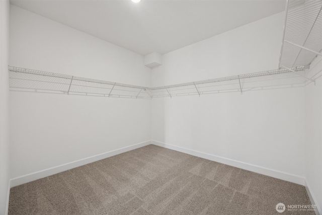 spacious closet with carpet