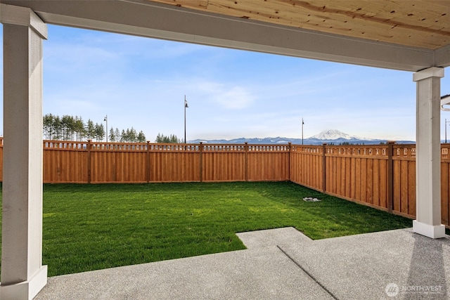 view of yard featuring a patio area, a fenced backyard, and a mountain view