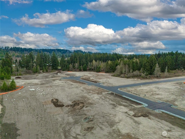 25708 64th Avenue Ct E Unit 4, Graham, WA 98338 - bird's eye view of a forest