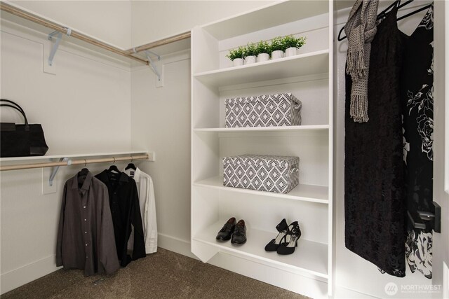 25708 64th Avenue Ct E Unit 4, Graham, WA 98338 - walk in closet featuring carpet floors