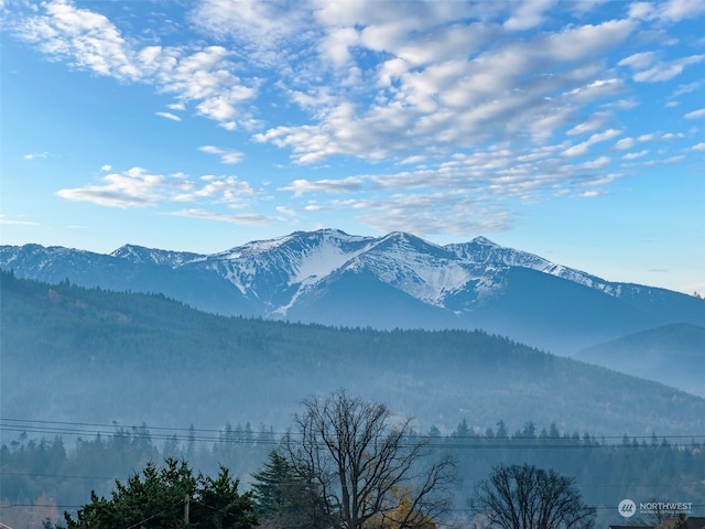 view of mountain feature