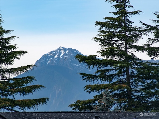 view of mountain feature