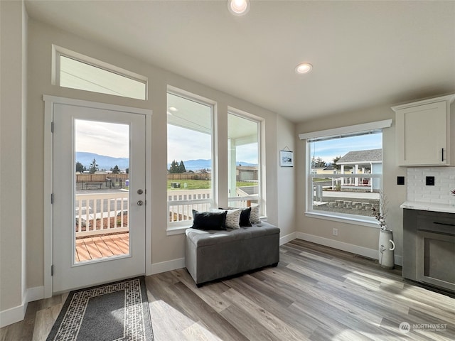 entryway featuring a wealth of natural light and light hardwood / wood-style floors