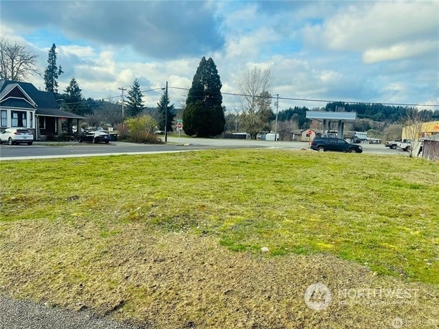 198 S Ritter St Unit 4, Tenino WA, 98589 land for sale