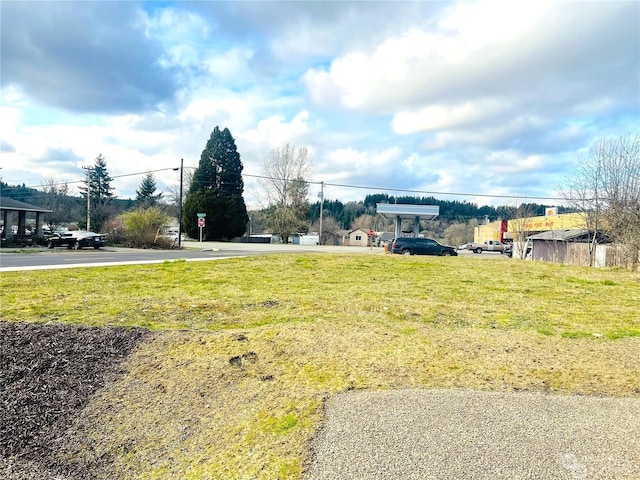 Listing photo 3 for 198 S Ritter St Unit 4, Tenino WA 98589