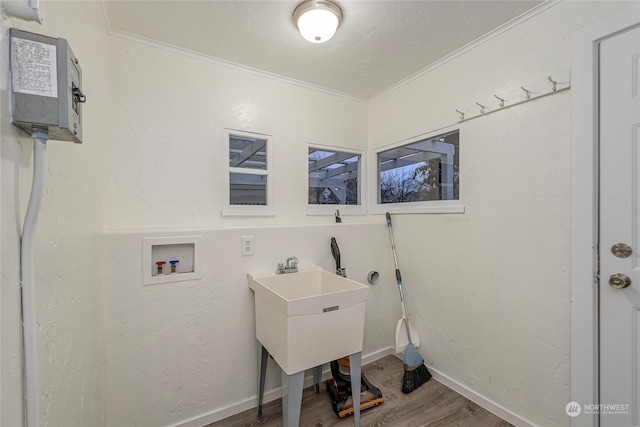 washroom featuring hardwood / wood-style flooring, crown molding, and hookup for a washing machine