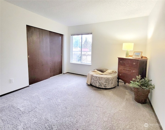 living area with carpet and a textured ceiling