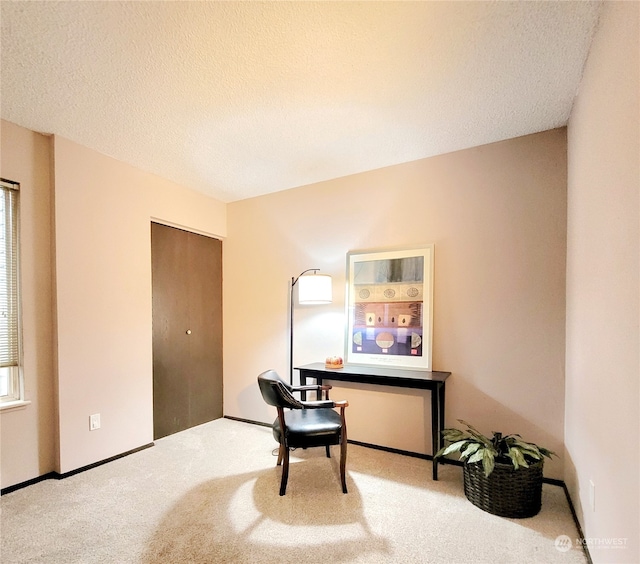 carpeted home office with a textured ceiling