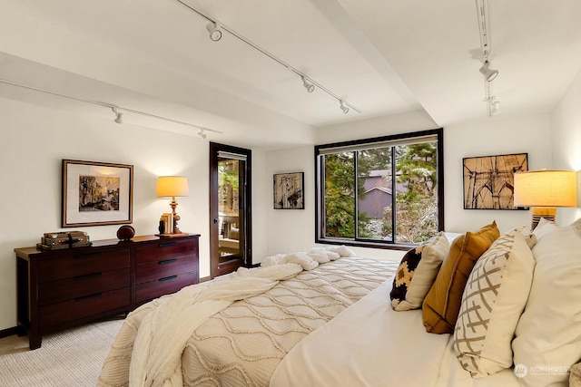 bedroom with rail lighting, light carpet, and access to outside