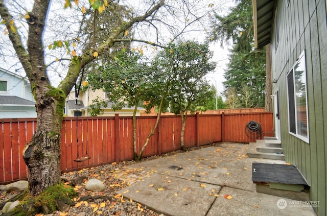 view of yard featuring a patio