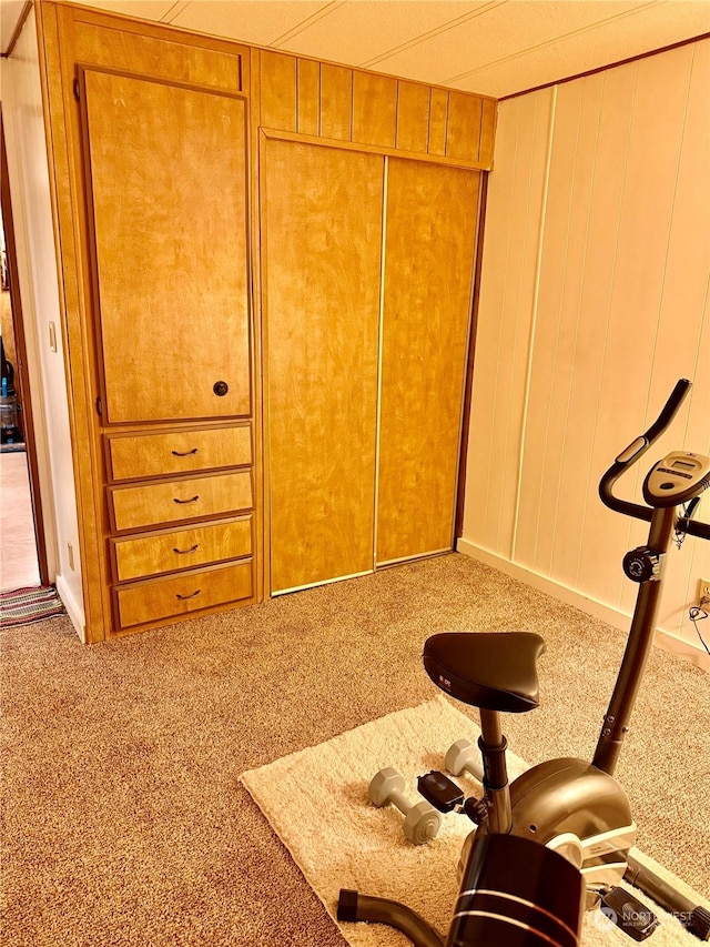 interior space with wood walls and carpet