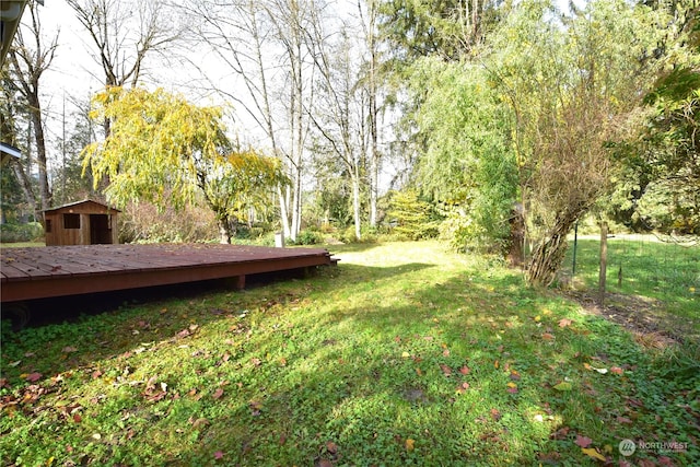 view of yard with a shed