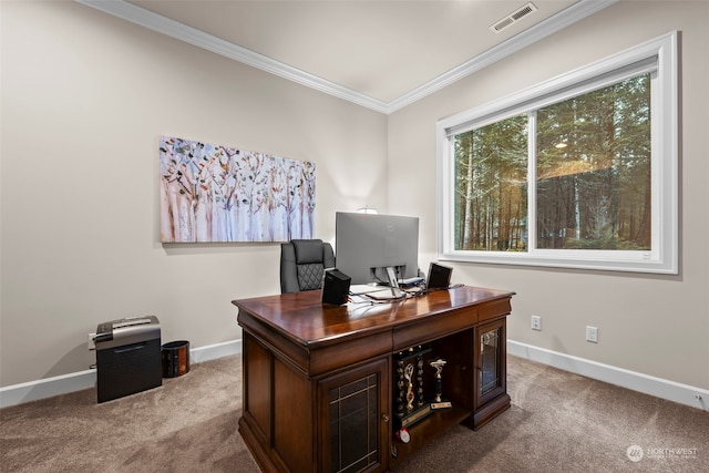 carpeted office with crown molding